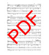 El cant dels ocells - (1 veu i orgue) - Digital